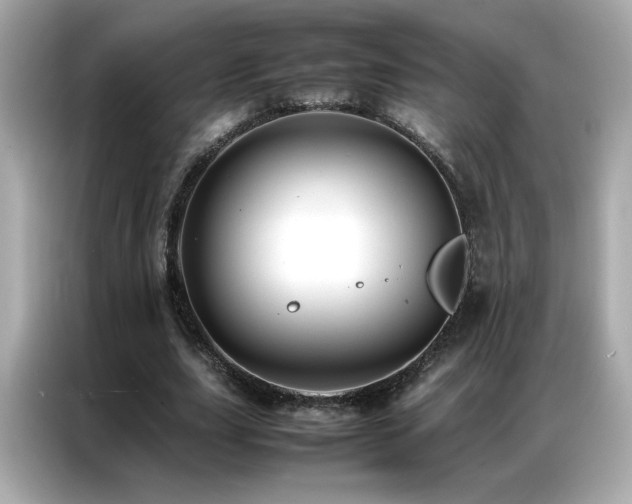 X0000087060631200704181259