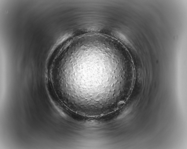 X0000087060634200704181259