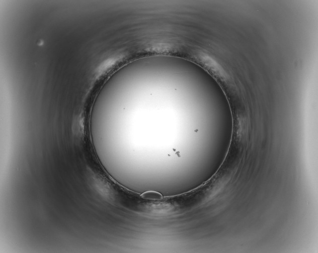 X0000087060636200704181259