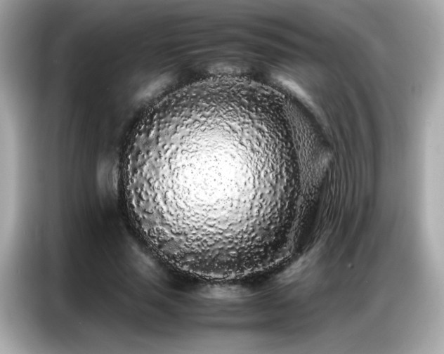 X0000087060637200704181259