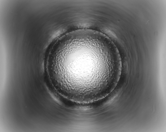 X0000087060638200704181259