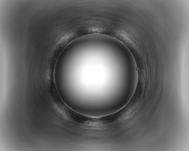 X0000087060639200704181259