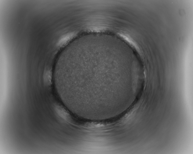 X0000087060640200704181259