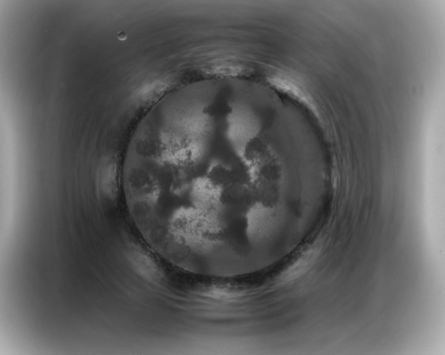 X0000087060641200704181259