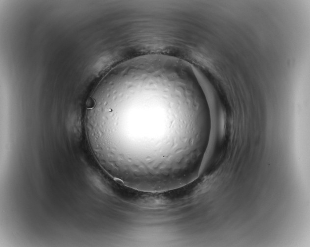 X0000087060642200704181259