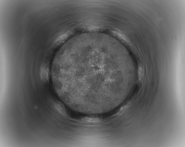 X0000087060644200704181259