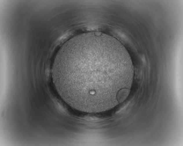 X0000087060648200704181259