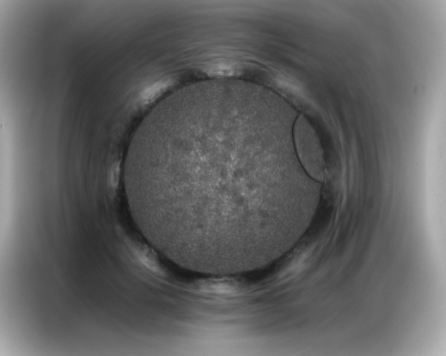 X0000087060652200704181259