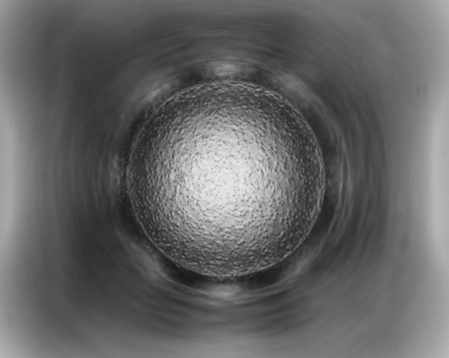 X0000087060653200704181259