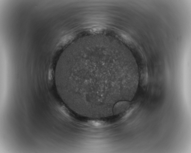 X0000087060654200704181259