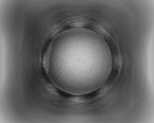 X0000087060655200704181259