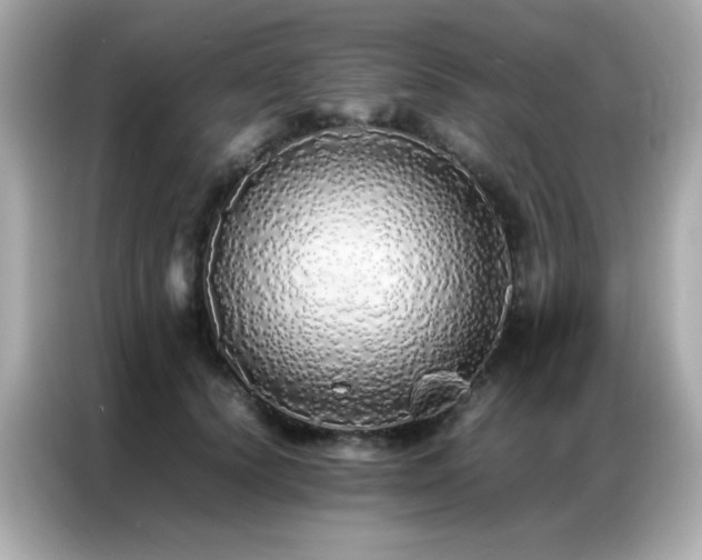 X0000087060656200704181259