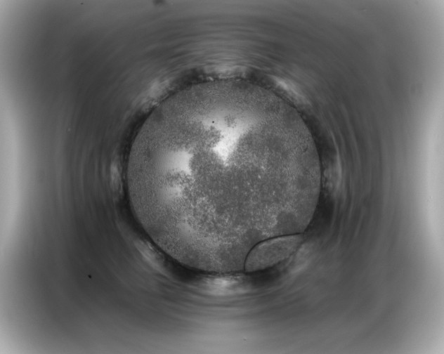 X0000087060662200704181259