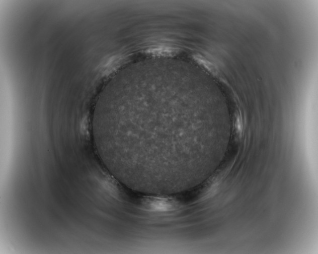 X0000087060663200704181259