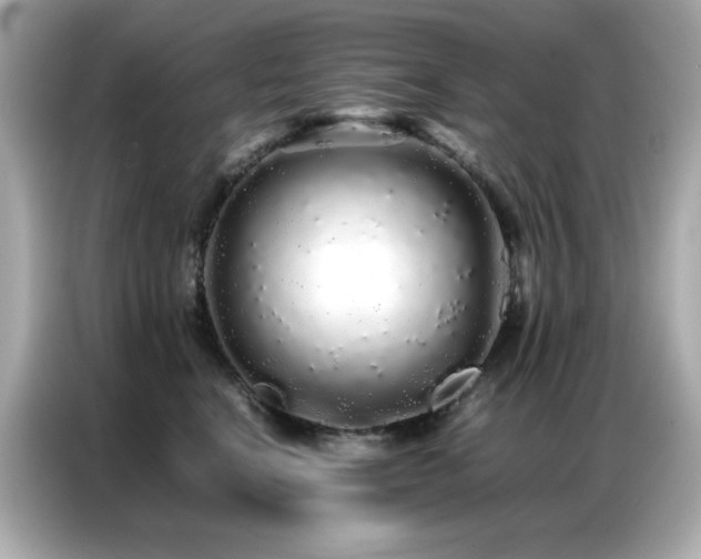 X0000087060664200704181259