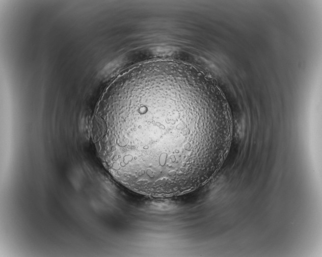 X0000087060666200704181259