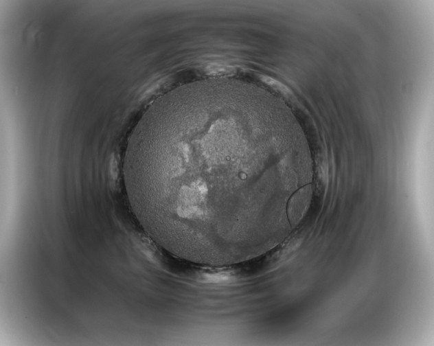 X0000087060667200704181259