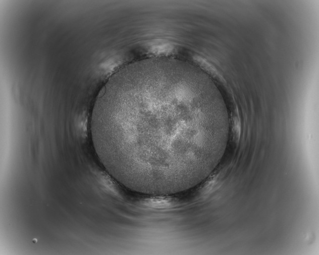 X0000087060668200704181259