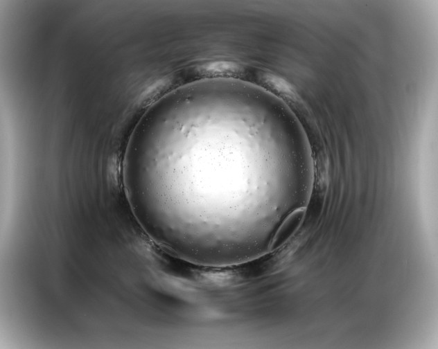 X0000087060669200704181259