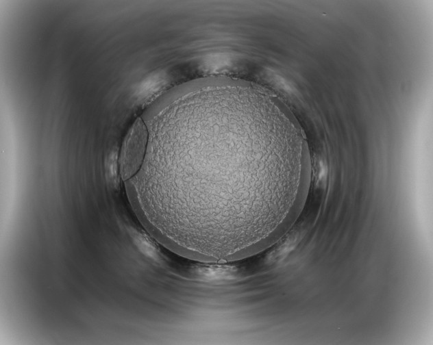 X0000087060670200704181259