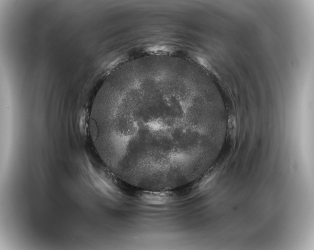 X0000087060671200704181259