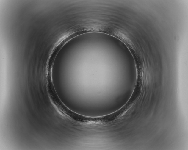 X0000087060674200704181259