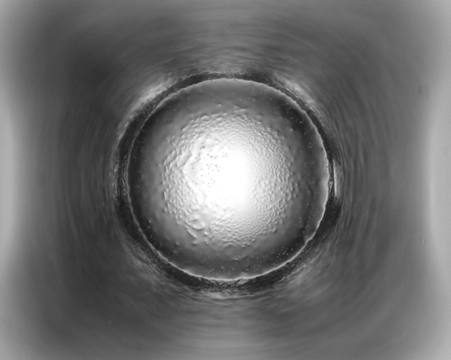 X0000087060675200704181259