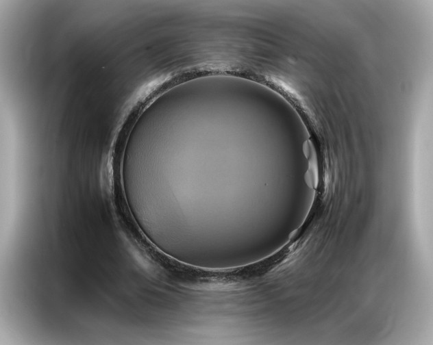 X0000087060678200704181259