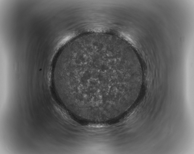 X0000087060679200704181259