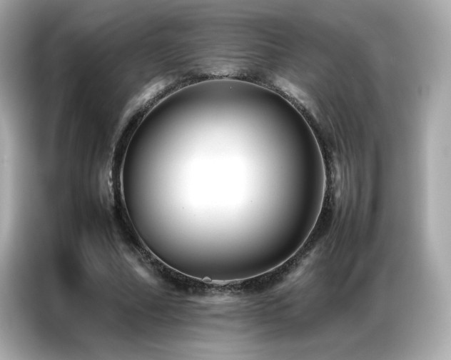 X0000087060682200704181259