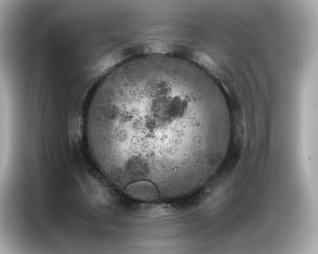 X0000087060683200704181259