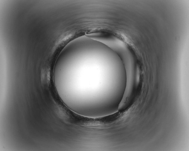 X0000087060685200704181259