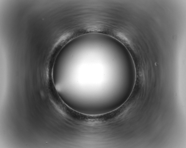 X0000087060686200704181258