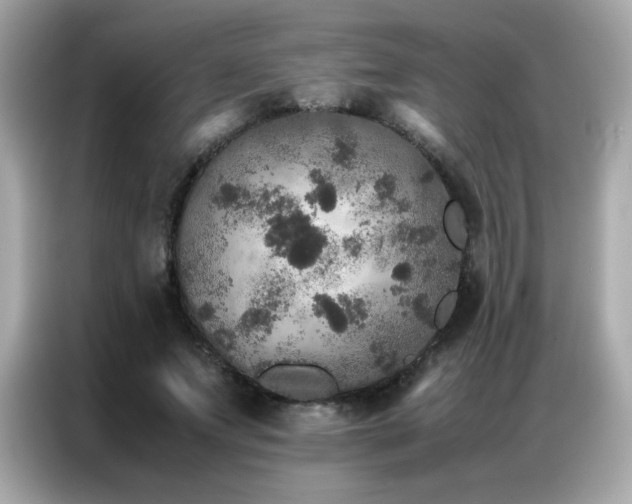 X0000087060687200704181258