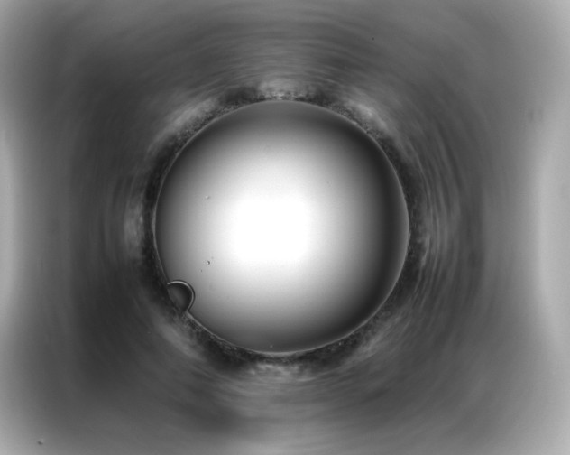 X0000087060690200704181258