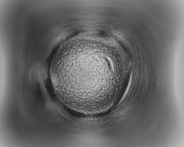 X0000087060691200704181258