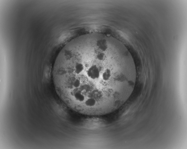 X0000087060695200704181258