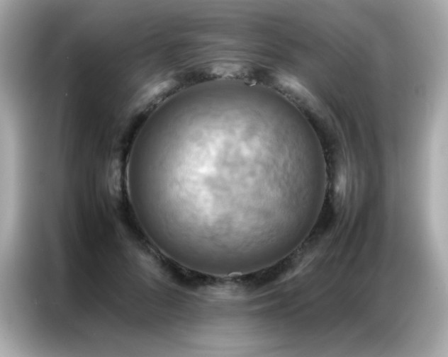 X0000087060696200704181258