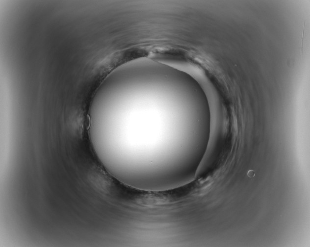 X0000087060697200704181258