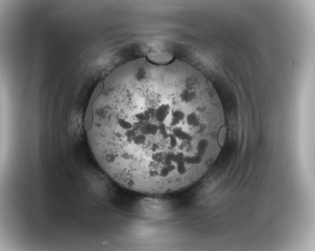 X0000087060699200704181258