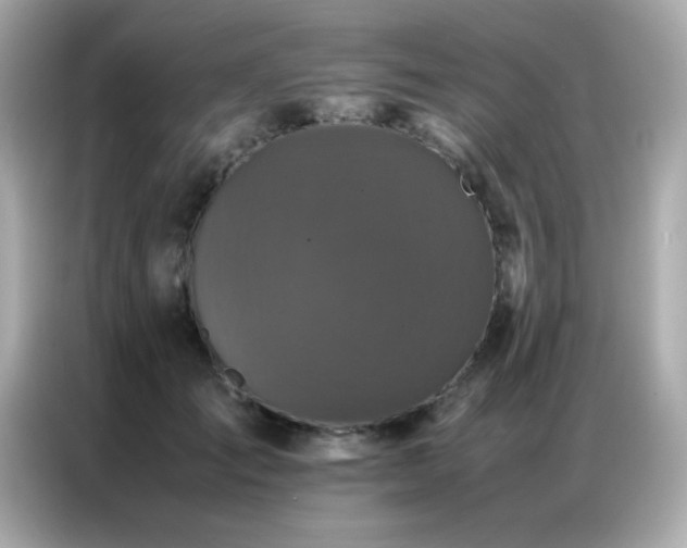 X0000087060701200704181258