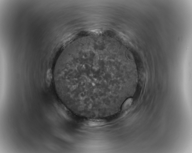 X0000087060707200704181258