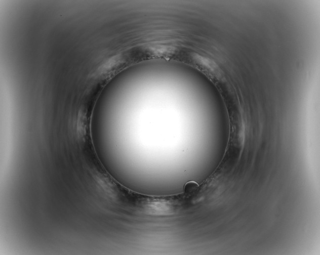 X0000087060710200704181258