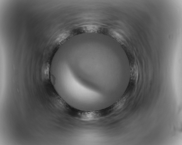 X0000087060717200704181258