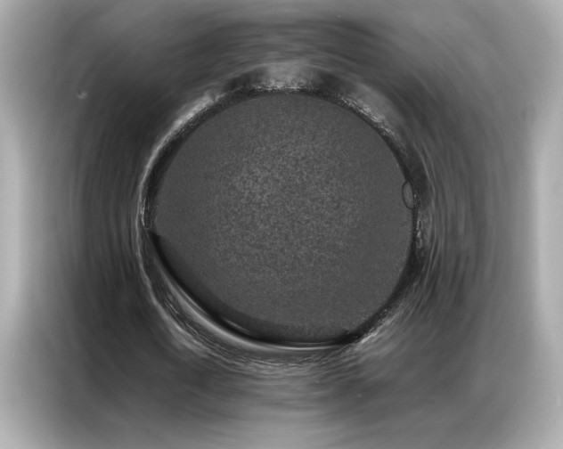 X0000087060722200704181257