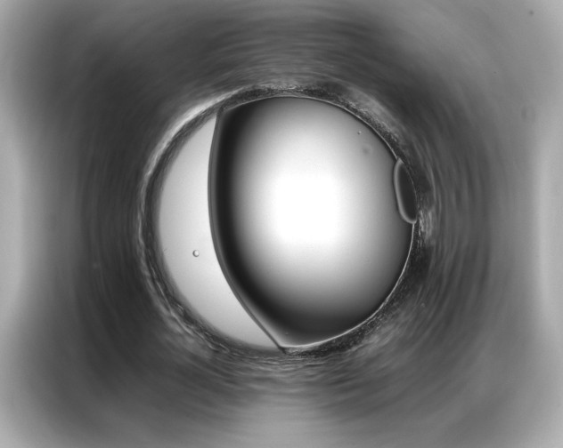 X0000087060724200704181257