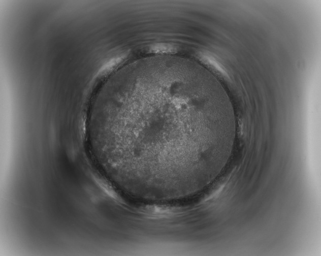 X0000087060733200704181258