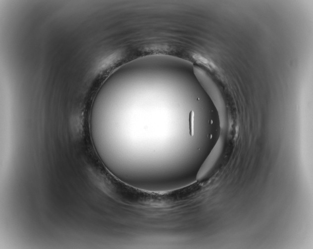 X0000087060735200704181258