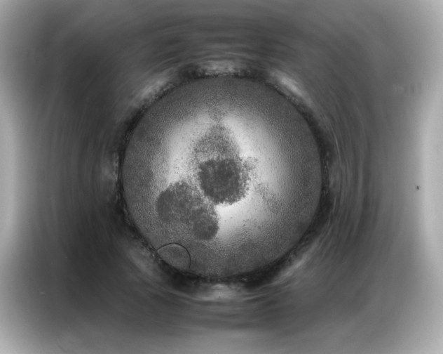 X0000087060737200704181258