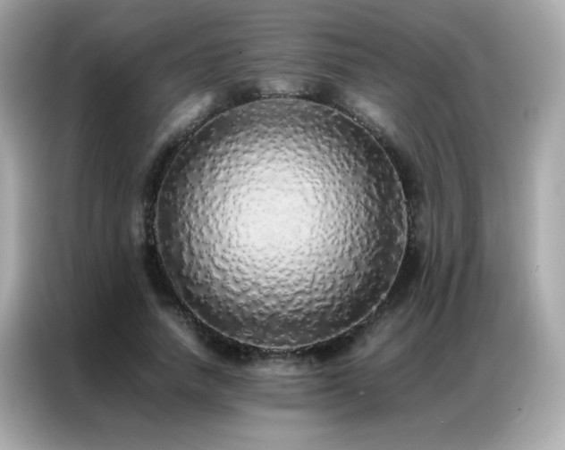 X0000087060738200704181258